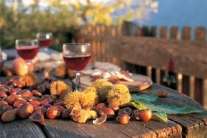 Wandern & Törggelen in Südtirol